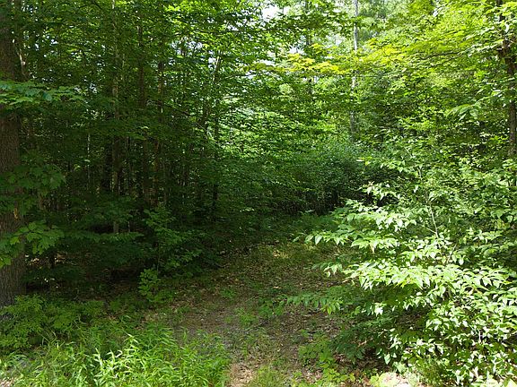 4th image of Lot 1,2,3 Colcord Hill Road