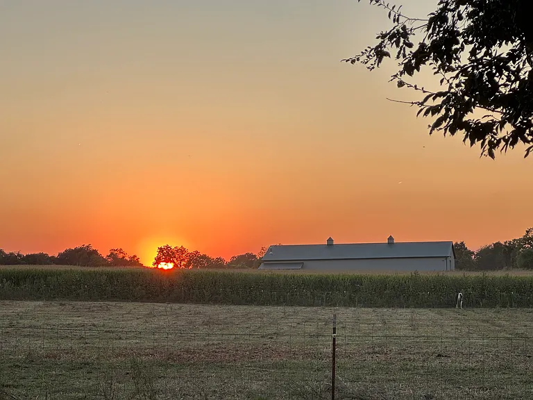 Cornstalk Rd — Photo 41