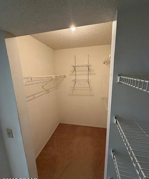 1401 S Palmetto Ave #506 — Photo 13