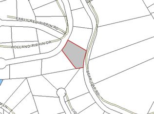 Holland Pippin Dr, Clarkesville, GA 30523