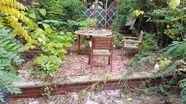 Rented by The Hamilton Group | media 19