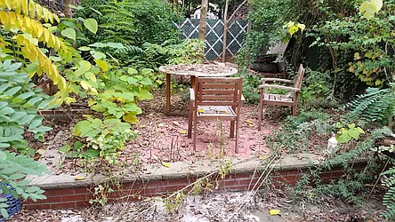 Rented by The Hamilton Group