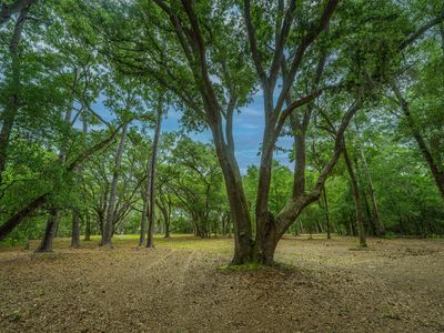 8430 Saint Pierre Creek Dr, Edisto Island, SC, 29438