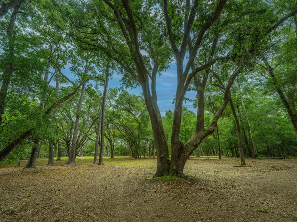 8430 Saint Pierre Creek Dr, Edisto Island, SC 29438