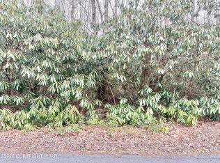 LOT-49A Susquehanna Dr, Jim Thorpe, PA 18229