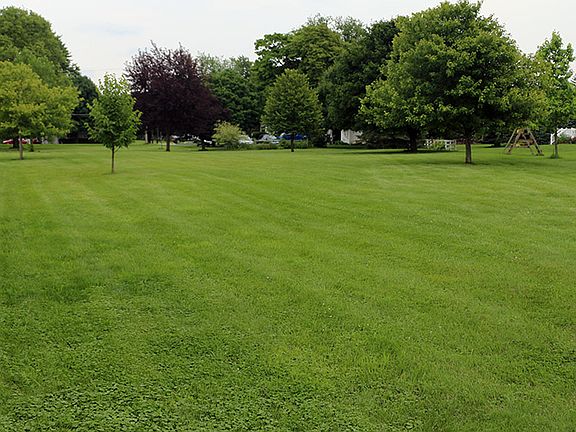 Large backyard