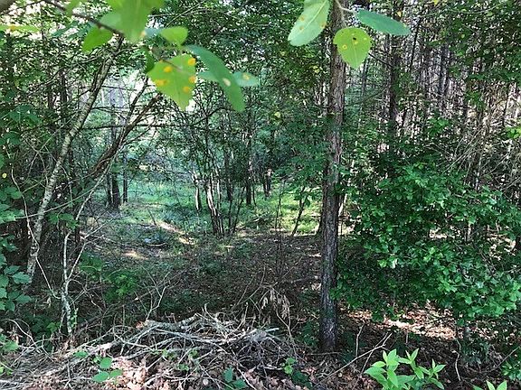 2nd image of 76 Brittany Ln
