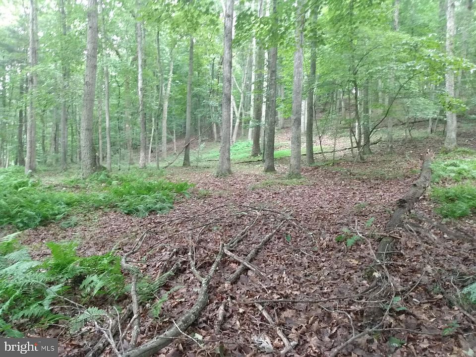 2nd image of Cacapon Rd