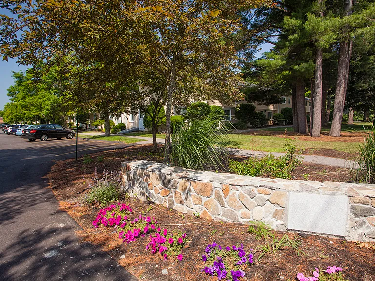 Chestnut Place Townhomes — Photo 30