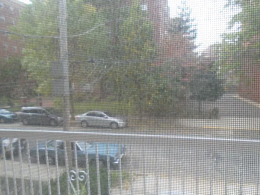 Rented by 18 REALTY | media 50