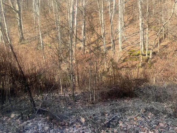 20710 Turnpike Rd, Swiss, WV 26690