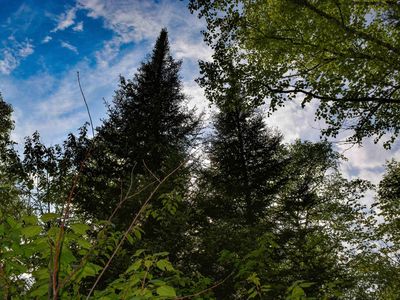 48 Xxx County Rd, Grand Marais, MN, 55604