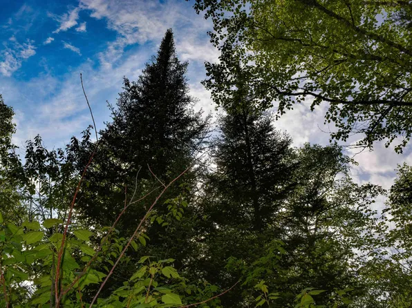 48 Xxx County Rd, Grand Marais, MN 55604