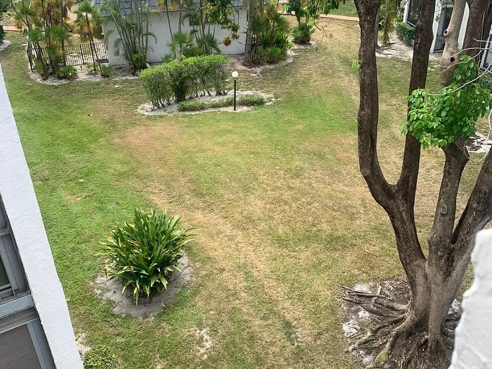3360 Spanish Moss Ter #413