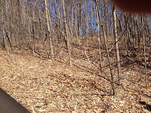 2nd image of 33 Paramount Drive