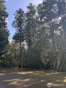 12502 93rd Street Ct, Anderson Island, WA, 98303