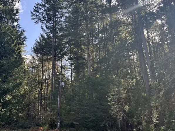 12502 93rd Street Ct, Anderson Island, WA 98303