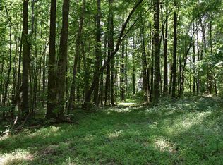 0 Jonney Thomas Rd #15, Cleveland, GA 30528