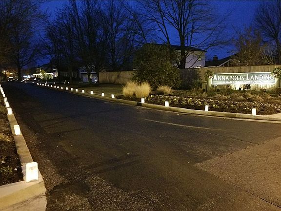 Neighborhood Luminaries