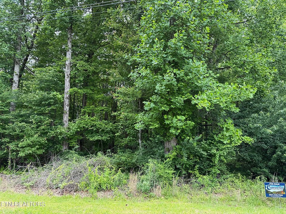 2nd image of Lollar Dr