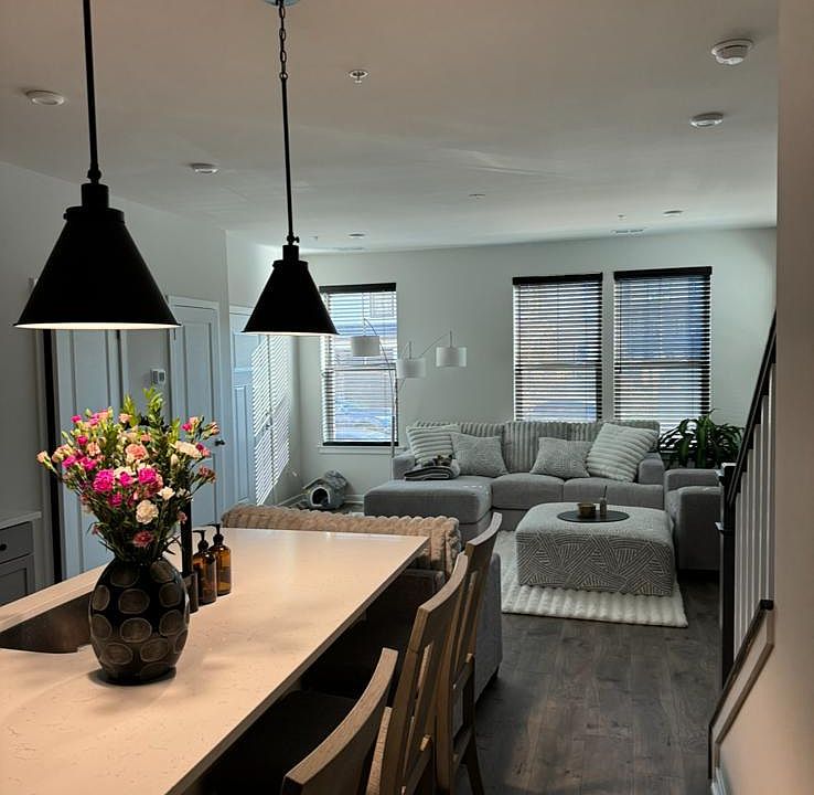 Living room +kitchen