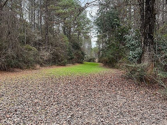 3rd image of 727 Milton Dumman Rd
