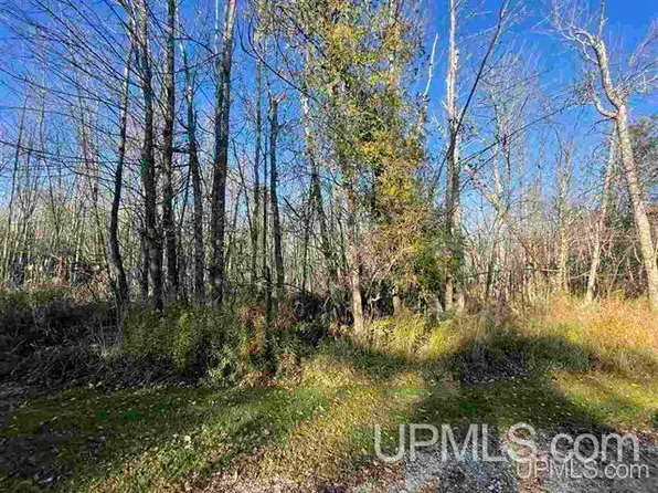 9 Petit Point Ln, Stephenson, MI 49887