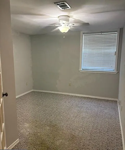 202 Cannon Pl — Photo 19