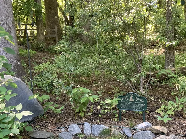 123 Nob Hill Rd — Photo 41