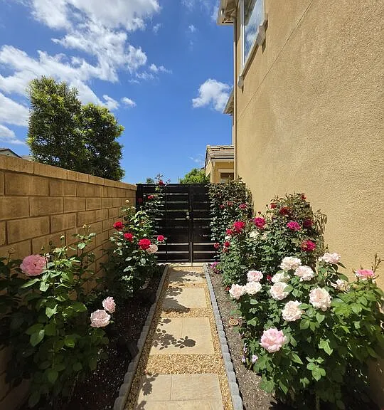 Blossom Ln — Photo 19