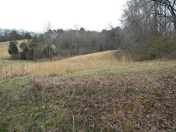 3rd image of 0 County Road 728