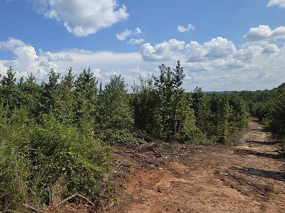 5th image of TRACT 7 County Road 256