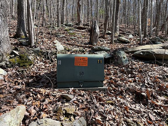 5th image of TBD Treehouse Trail