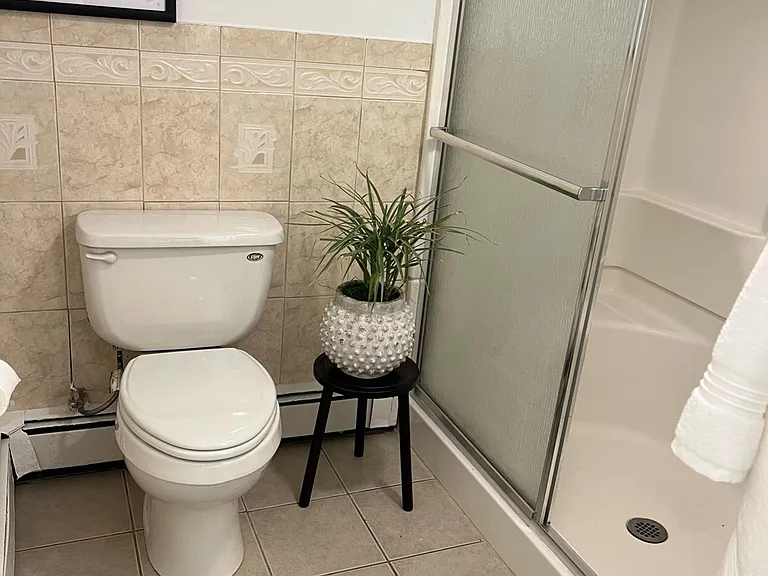 Downstairs second full bath