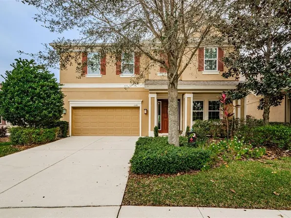 6343 Hawk Grove Ct, Wesley Chapel, FL 33545