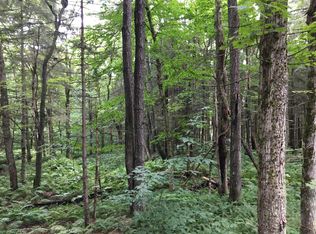 Fox Rd Redfield #5, Redfield, NY 13437