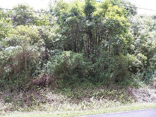 1st image of Malama St Lot 39