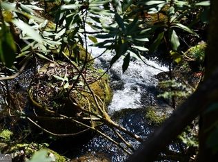 0 Highland Gap Rd, Scaly Mountain, NC 28775