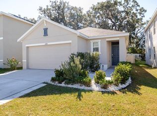 10945 Trailing Vine Dr, Tampa, FL 33610