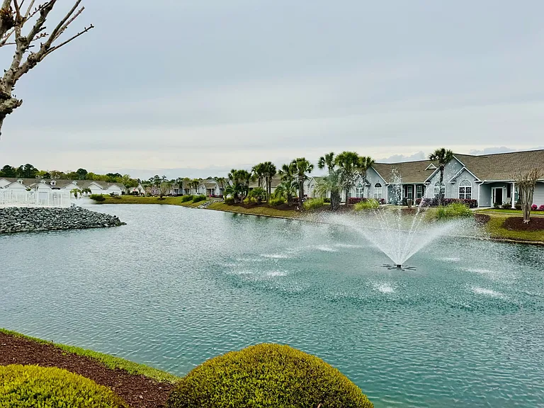 Water Feature_03262024