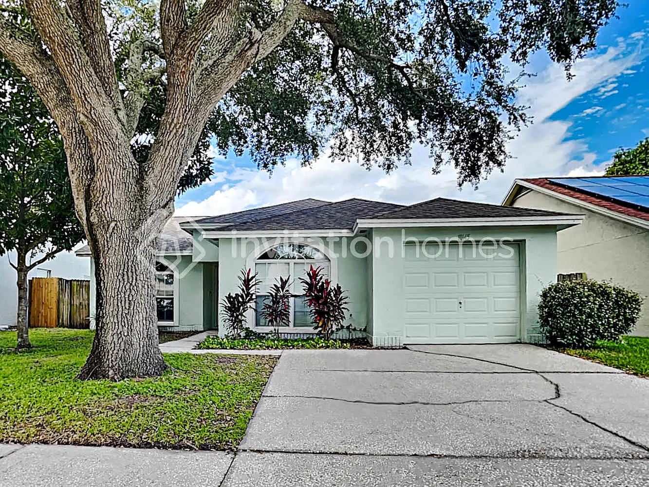10145 Cedar Dune Dr Tampa, FL 33624 — Photo 1