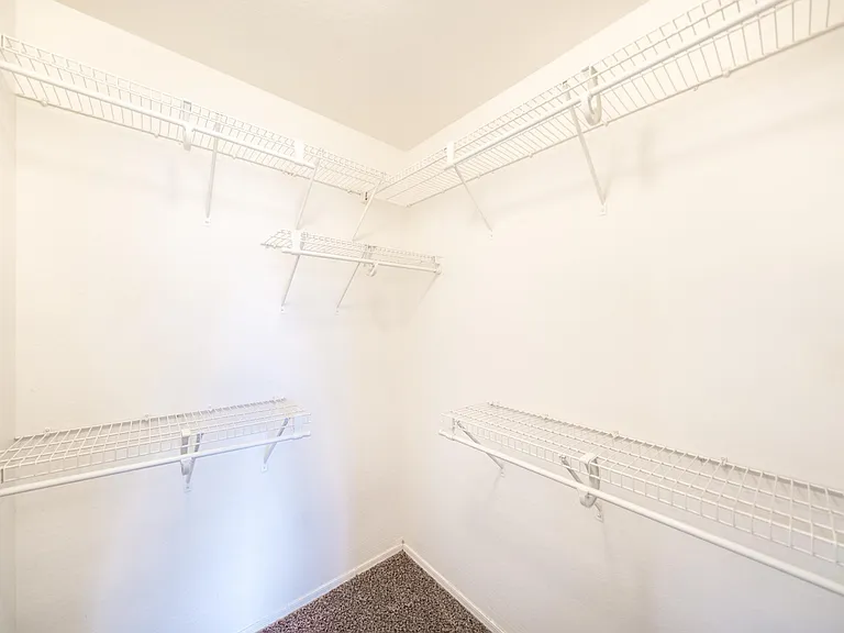 Primary walk-in closet