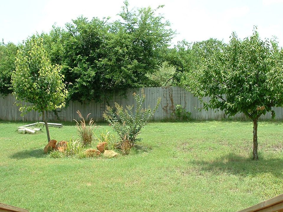 back yard