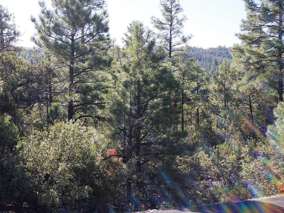 1st image of 831 E Pine Oaks Dr