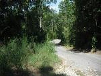 Photo of Mobile Home Lot