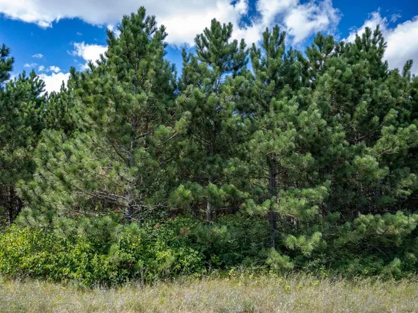 Lot 62 Big Bay Rd #62, Necedah, WI 54646