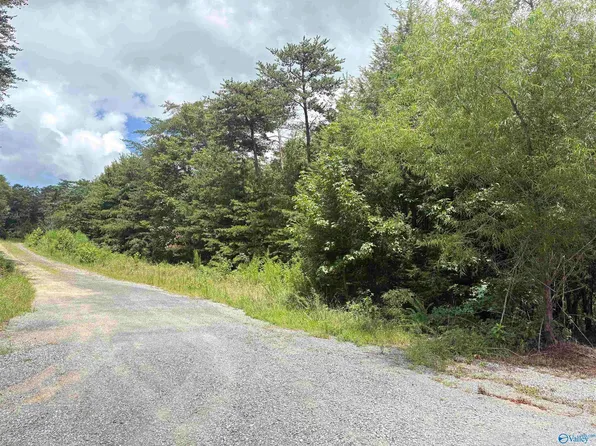 LOT 32 County Road 1951, Mentone, AL 35984