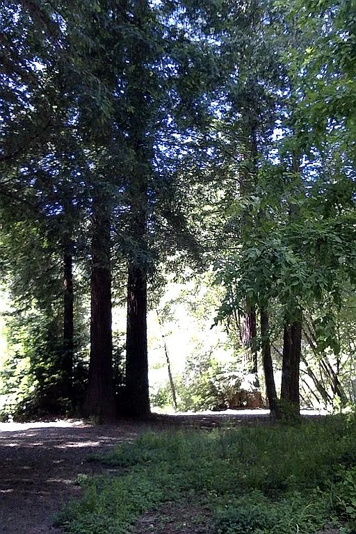 9500 Bohemian Hwy - Photo 4