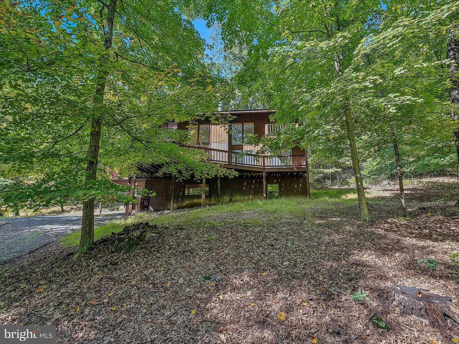 181 Bobcat Dr photo 1