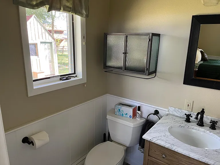 Master 1/2 bath